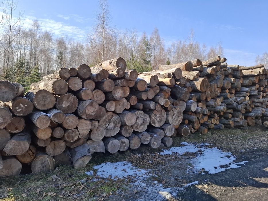 Drewno opałowe, kominkowe dąb, buk, brzoza, olcha, osika