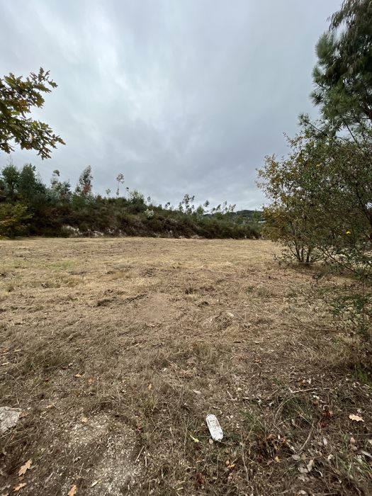 Vendo terreno agricola com 7995 m2