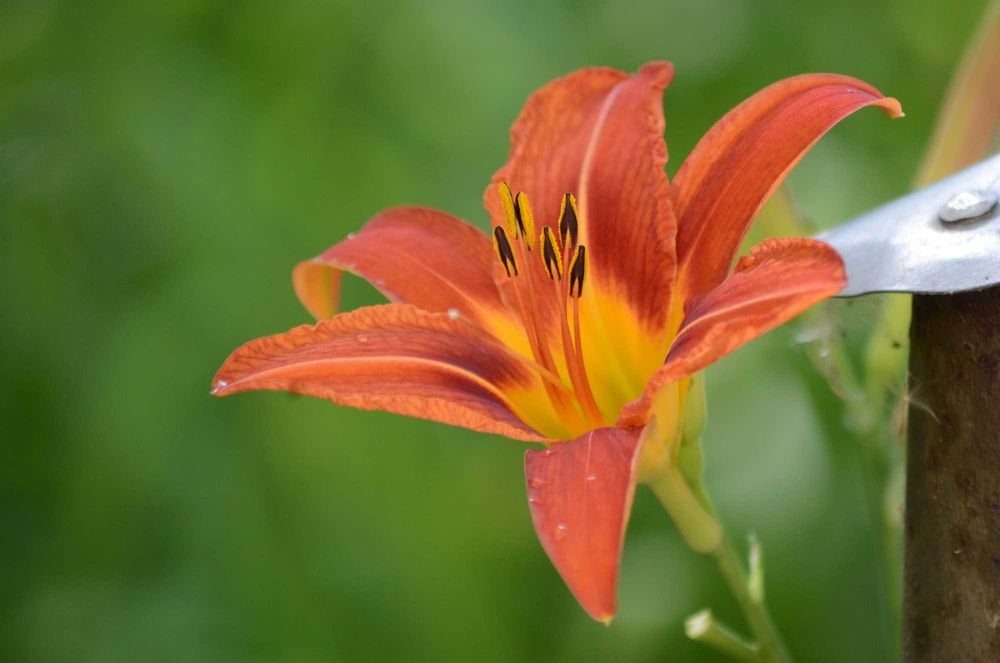 Об'єктив TAMRON D i II AF 55-200мм F/4-5.6 LD для Нікон