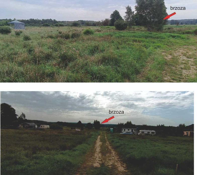 działki nad morzem