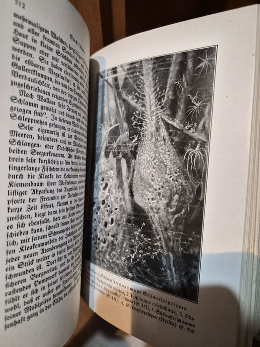 Brehms Tierleben – Jubiläums-Ausgabe in acht Bänden (1929, Leipzig, Ph