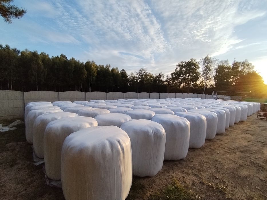 Sianokiszonka/kiszonka z traw 250sztuk