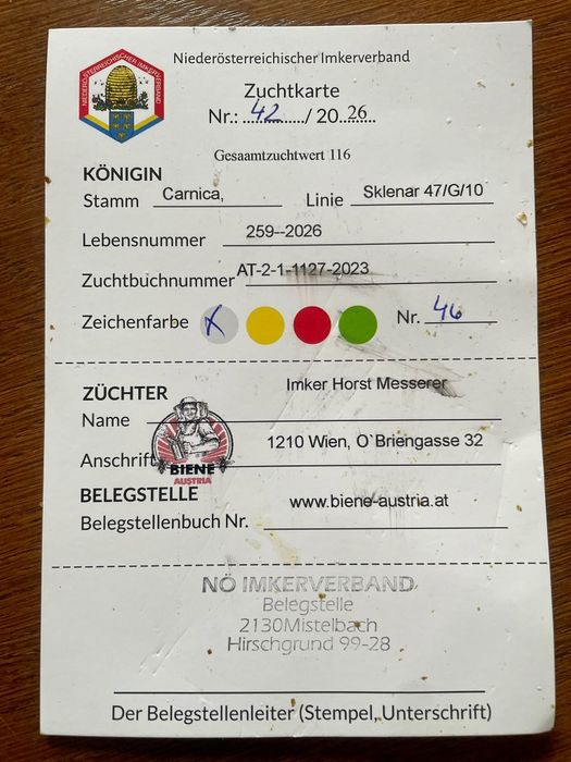 Matki pszczele Sklenar g10 i Hinderhofer Agt Unasiennione