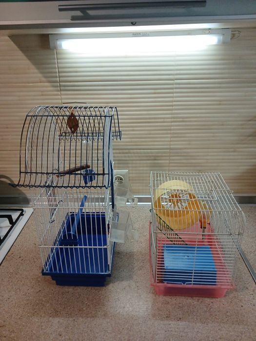 Клетки. Клетки..