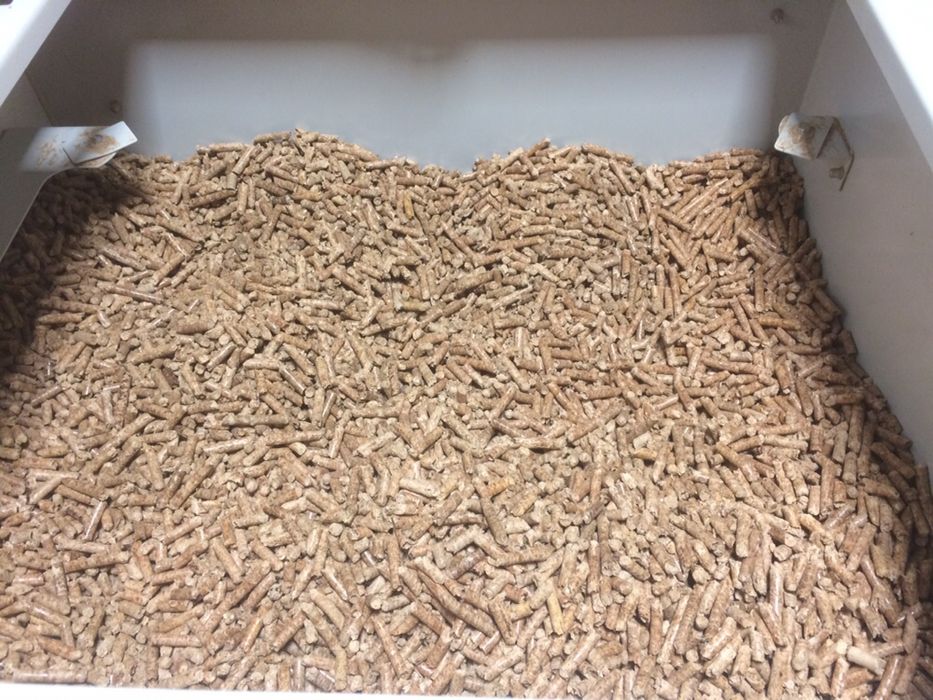 Pellet drzewny, czysta trocina