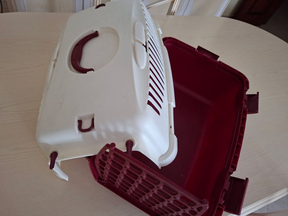 Conjunto acessorios para Gatos