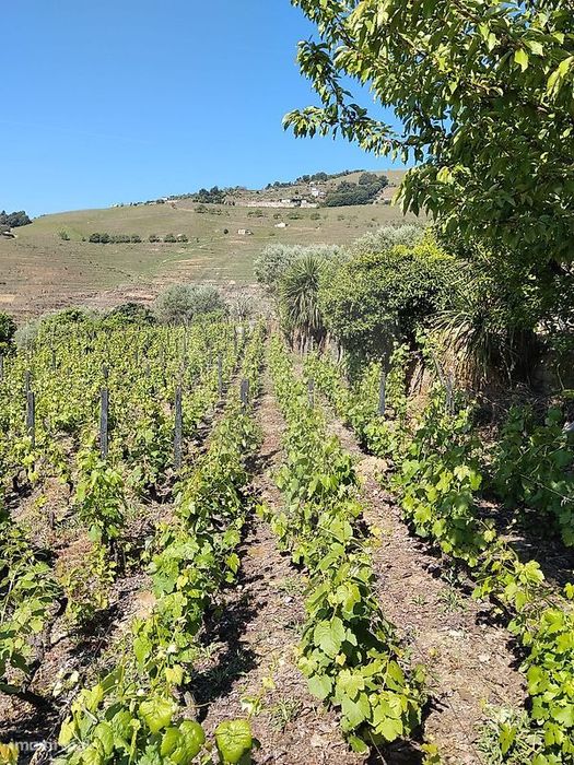 Terreno  para venda