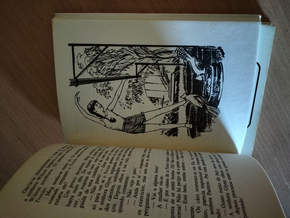 2 livros MEG, de Holy Beth Walker