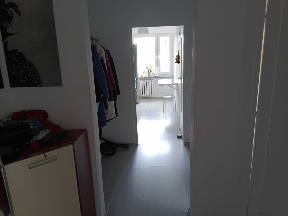 Zdjęcie 6