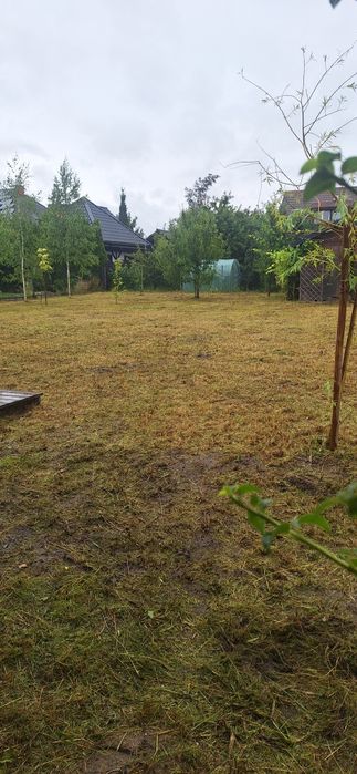 Koszenie Trawy Karczowanie Gałęzi  Prace Rozbiurkowe