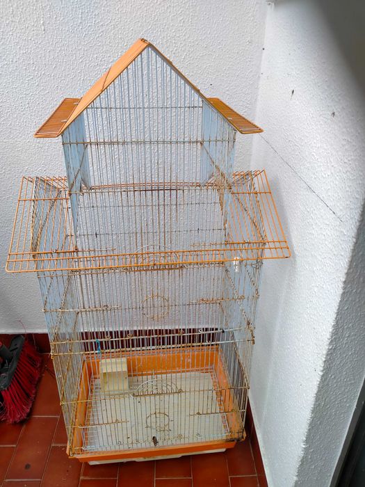 Gaiola pássaros (lê o anúncio)