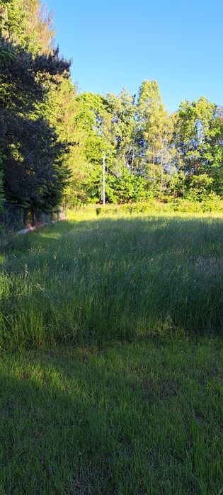 Sprzedam działkę inwestycyjną  w Wodzisławiu Śląskim centrum,  150 metrów  od Biedronki - Widok 4