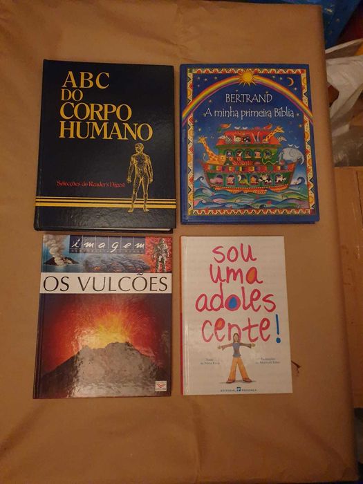 Livros vários em bom estado