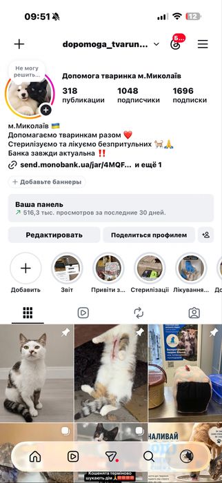 Чудові кошенята шукають дім 4 міс