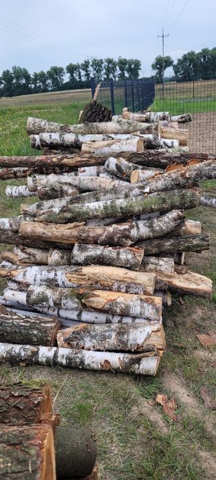 Drewno opałowe zapewniamy  transport