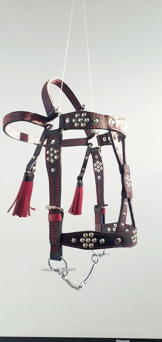 Наголовник на коня з китечками