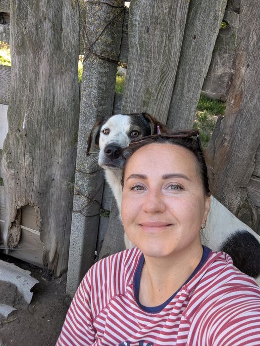 Песик Малюк шукає сім'ю