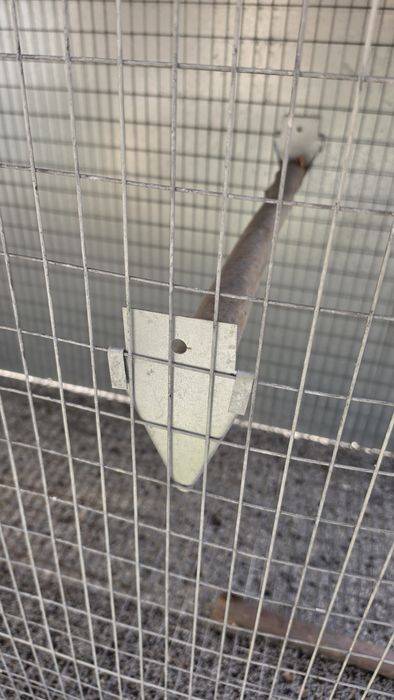Gaiola de papagaios