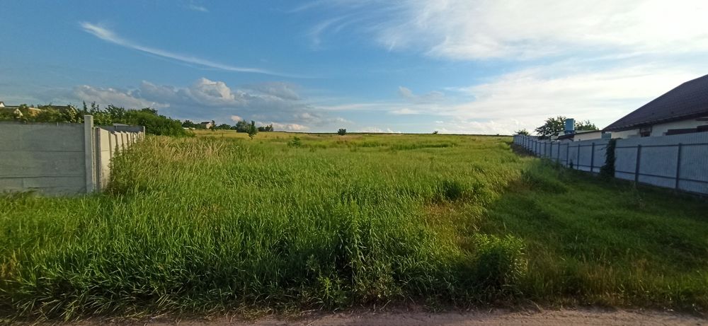 Продам земельну ділянку в Шкарівці