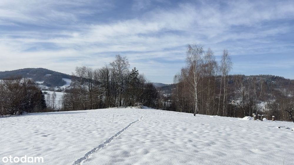 Kompleks działek 1 ha | 7500 m² pod zabudowę MU1 | Lachowice | Beskidy - Więcej