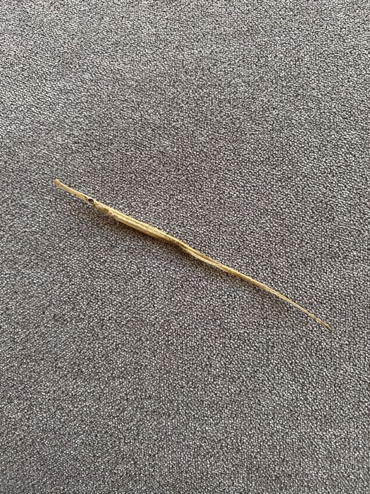 Рыба Игла натуральная сушеная Syngnathus abaster декор море океан риба