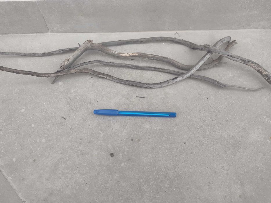 Botânicos e Troncos para Aquário (faço envios)