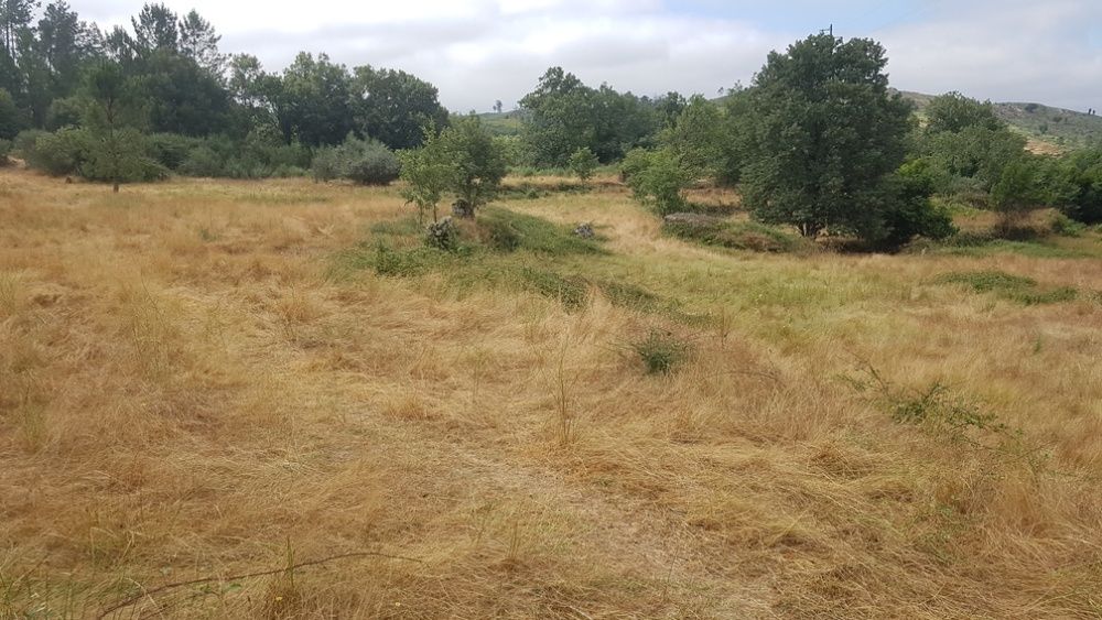 Terreno junto a ribeiro - Abrunhosa A Velha - REDUÇÃO VALOR