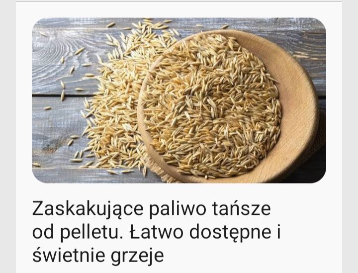 Ekopelet-owies workowany po 40 kg