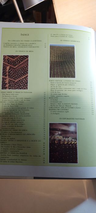 O Livro dos Vinhos - José A. Salvador, Luís Ramos