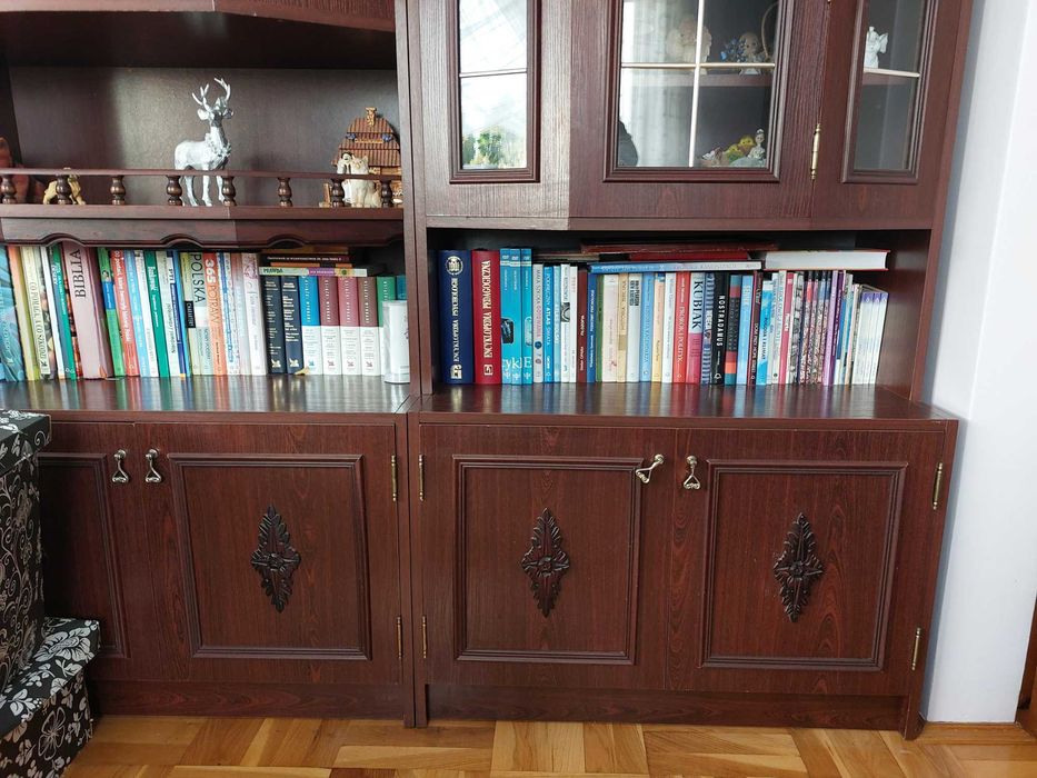 Meblościanka segment