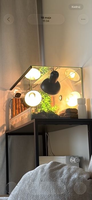 terrarium 80x40x40