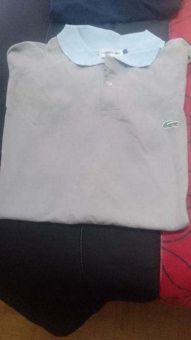 Polos novos de homem para verão