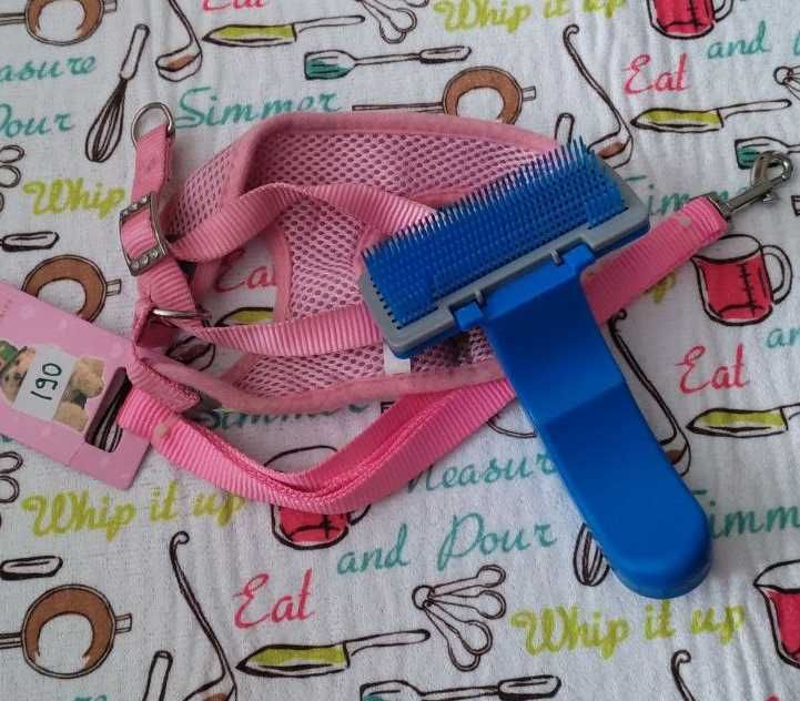 Комплект шлея-жилетка та повідець + щітка для тварин