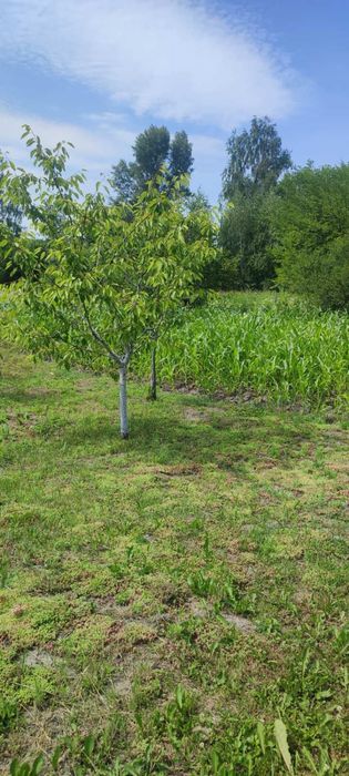 Продам будиночок з залитим фундаментом 7*5,5 м с.Сулимівка (дачний кооператив)