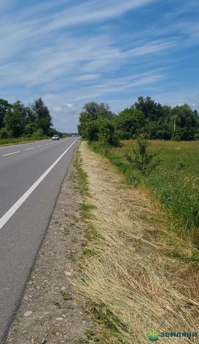 Продається ділянка в Чернієві (1)