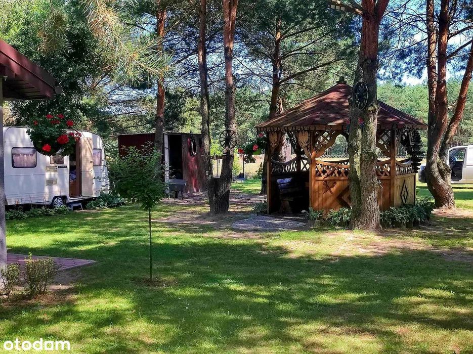 Działka z domkiem w malowniczej okolicy Księża Wólka (Siedlątków) - Widok 4