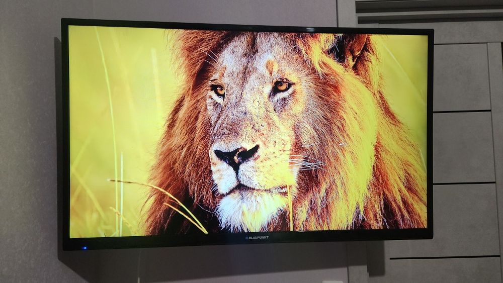 Телевізор Blaupunkt 50