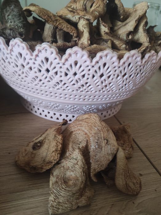 4 kg suszonych prawdziwki podgrzybki kozaki mieszanka