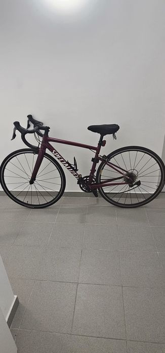 Specialized Allez 49 | Alumínio + Forqueta Carbono | Shimano Claris