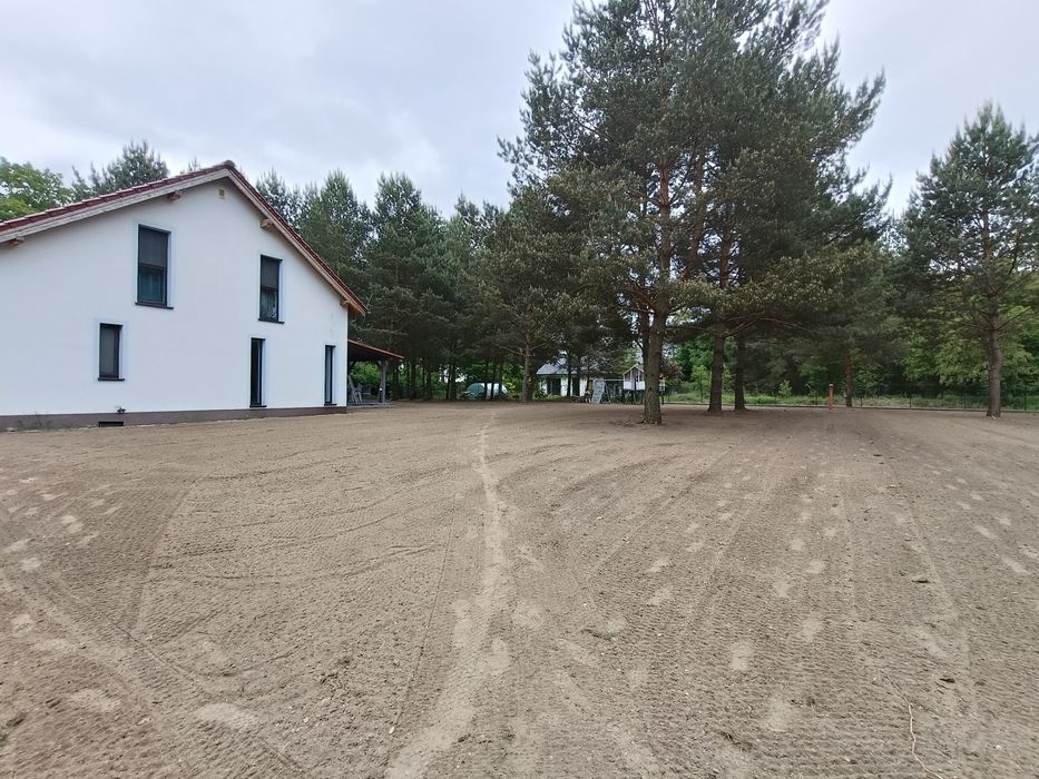 Trawnik z siewu w jeden dzień  #Trawa z rolki #nawadnianie automatyczn