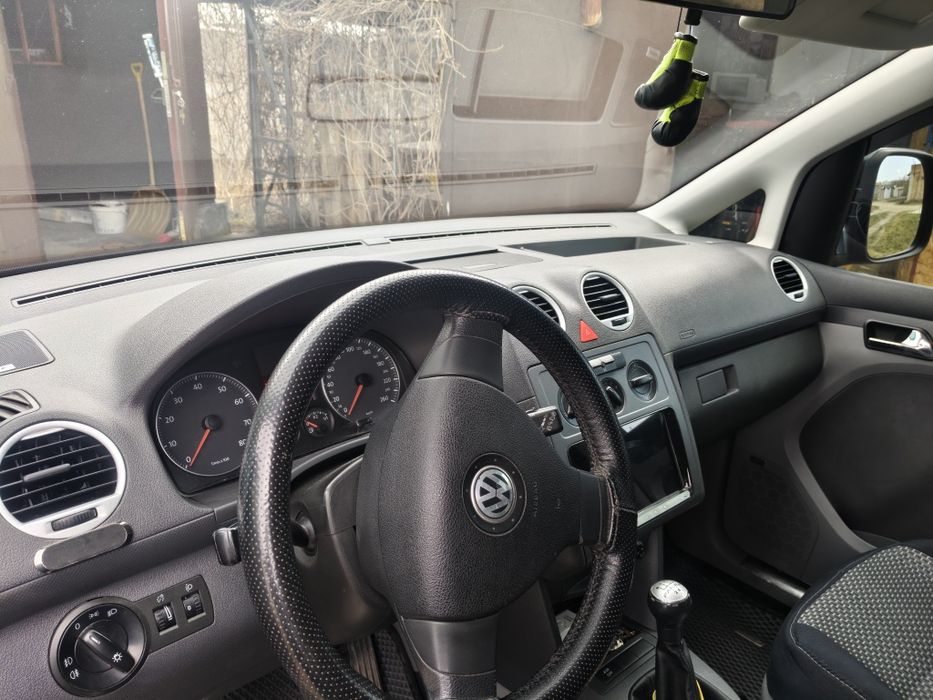 Продам каддик ухоженый