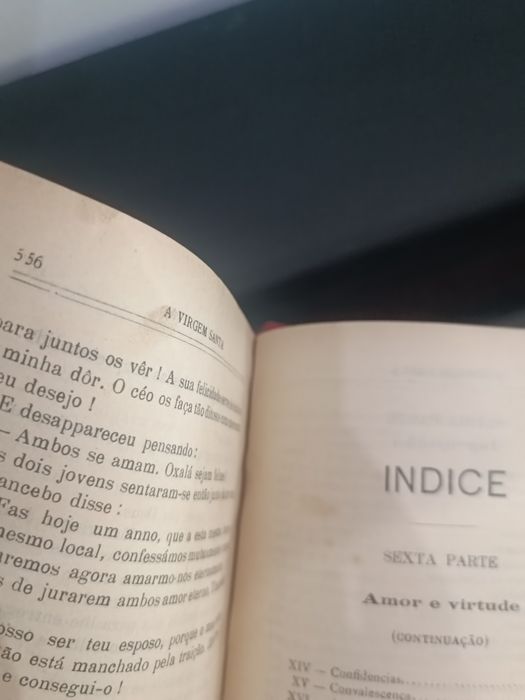 Livro   A Virgem Santa