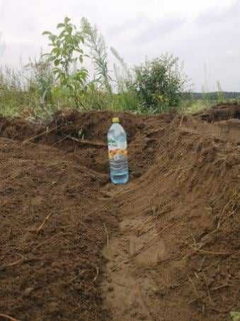Zakupimy las, wyrąb lasów,wycinka drzew ,skup drewna, rekultywacja