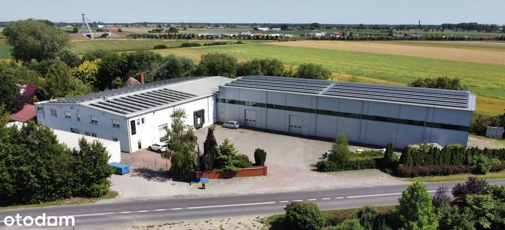 Hala produkcyjno-magazynowa 2341 m² | chłodnie | BRC/IFS | S5 i A2