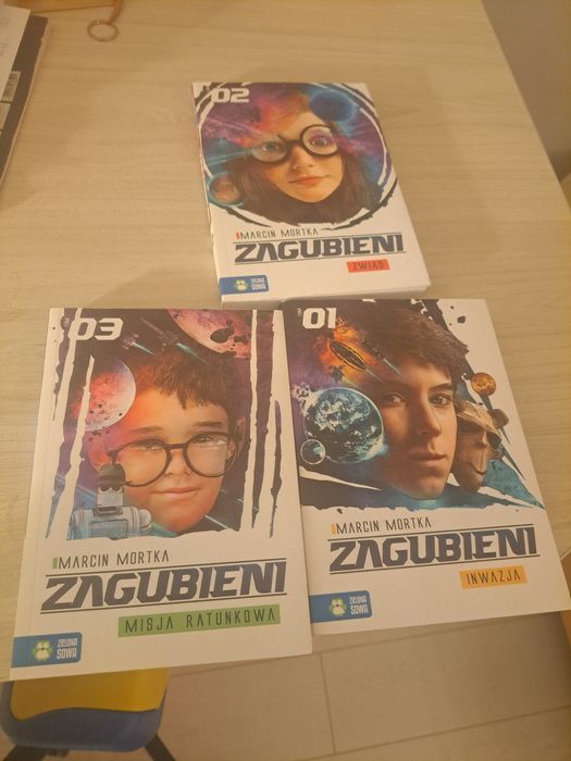 Seria książek zagubieni