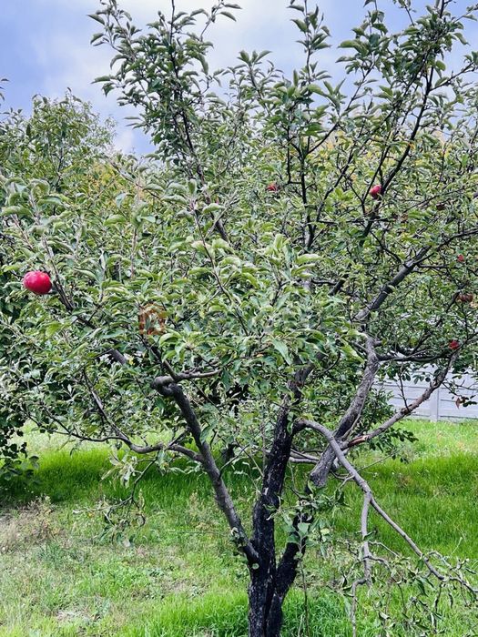 Продам современный дом район улицы Рыбальская