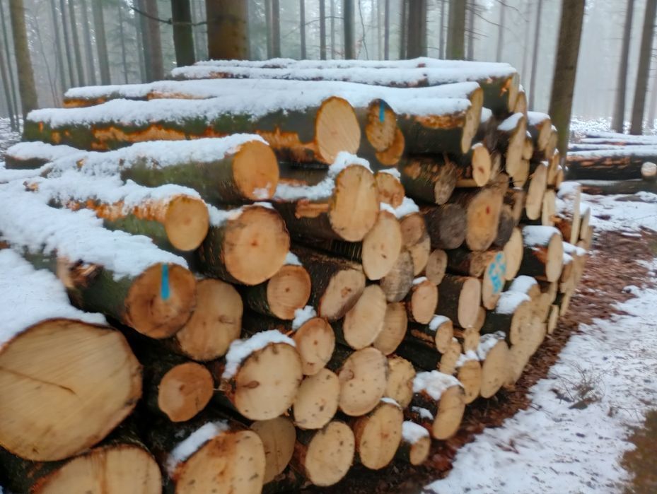 Drewno opałowe Sezonowane,Liściaste TWARDE buk-brzoza Transport GRATIS