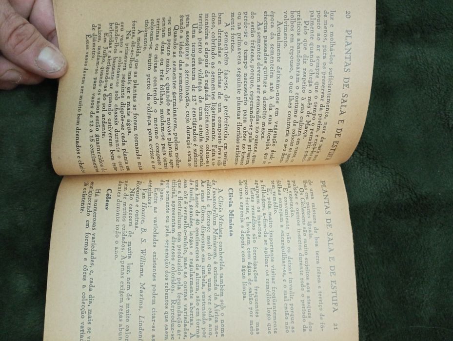 Plantas de Sala e de Estufa-4 Coleção Agricultura Prática -Toledano,