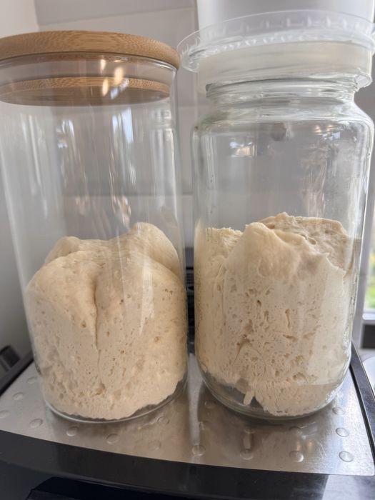 Закваска для хлеба и сдобы Левито мадре