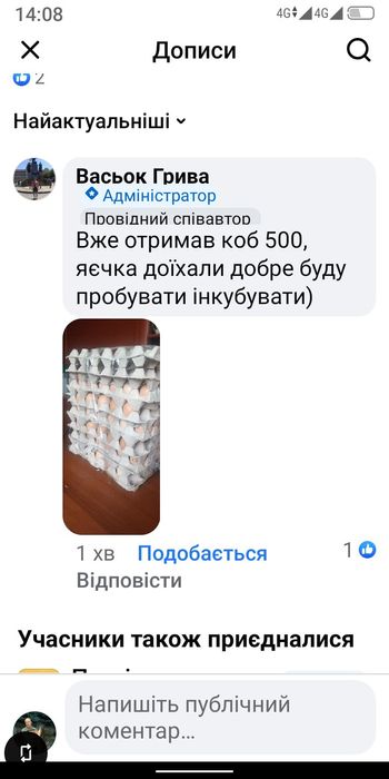 Інкубаційні яйця курей майстер грей